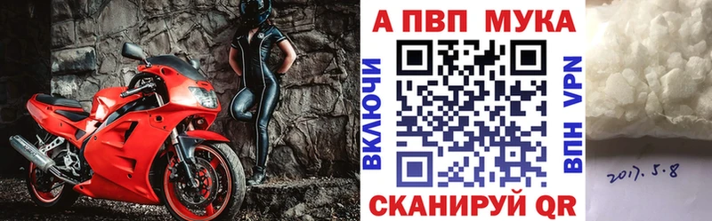 дарк нет как зайти  мега как зайти  Новая Ладога  где продают   Alpha PVP VHQ 