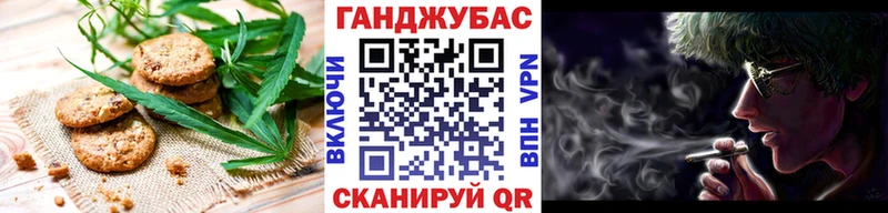 как найти наркотики  Новая Ладога  Еда ТГК марихуана 