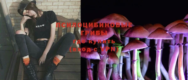 шишки Алексеевка