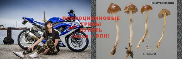 шишки Алексеевка