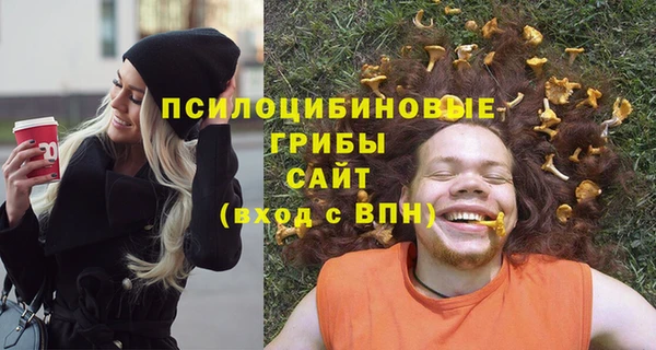 спайс Алексин