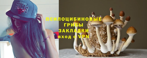 шишки Алексеевка