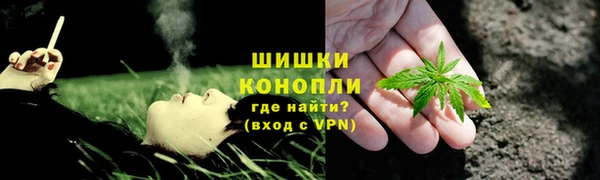 шишки Алексеевка
