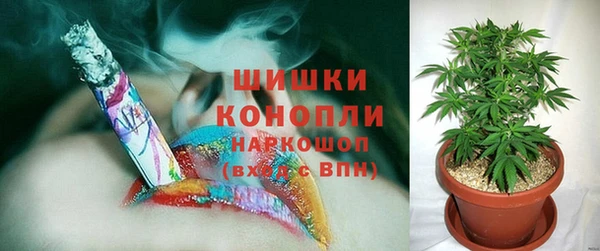 молекула духа Нягань