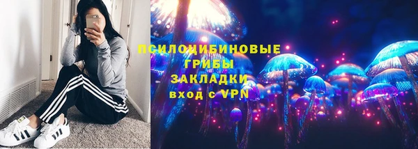 спайс Алексин