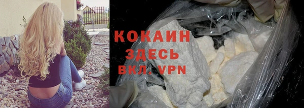 спайс Алексин