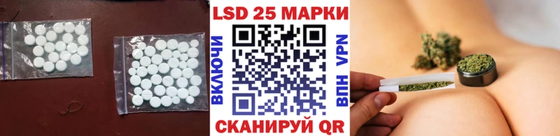 где найти наркотики  Новая Ладога  kraken как войти  LSD-25 экстази ecstasy 