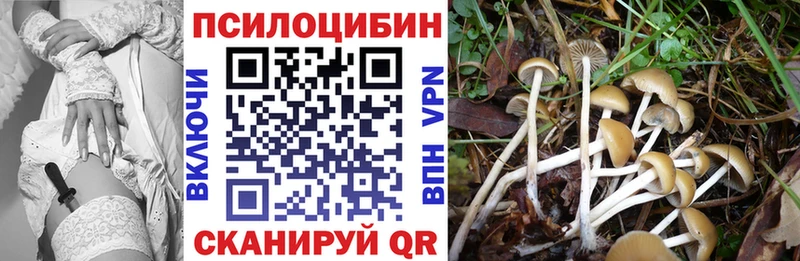 Галлюциногенные грибы мухоморы  Новая Ладога 