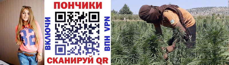 Марихуана LSD WEED  Новая Ладога 